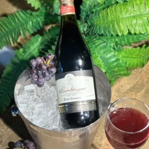 LAMBRUSCO TINTO BOTELLA
