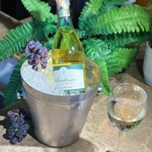 LAMBRUSCO BLANCO BOTELLA