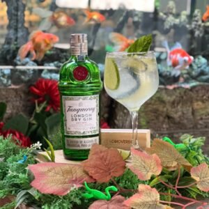 Gin Tonic - Tanqueray Ten