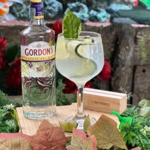 Gin Tonic - Gordons